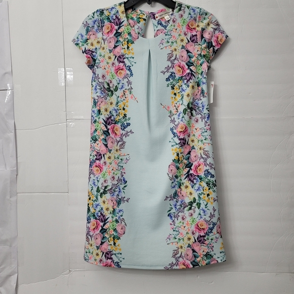 Poppies and Roses Big Girls  Floral Fit-And-Flare Dress - Picture 1 of 7